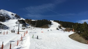 IMG_4134
