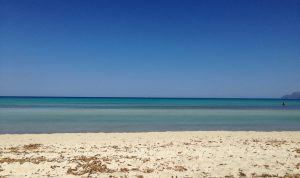 IMG_7972