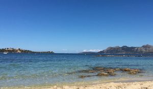 IMG_5766