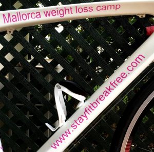 Mallorca Weight Loss Camp IMG_6351